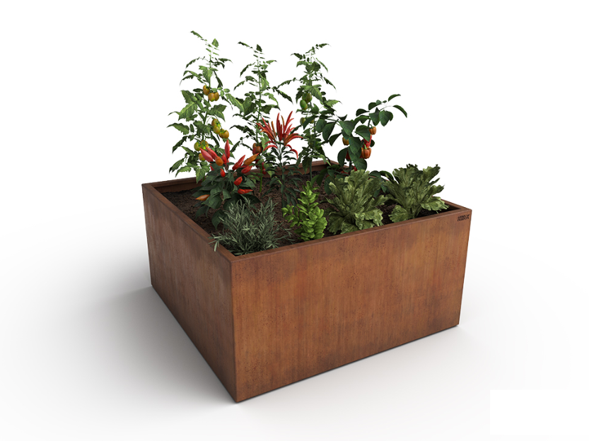 Carrés potager