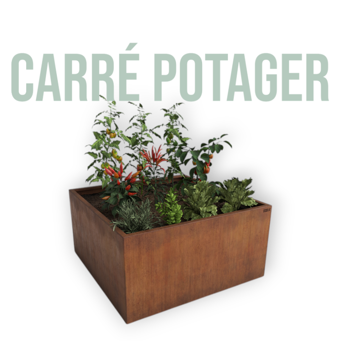Carré potager