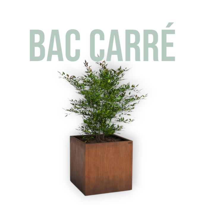 Bac carré