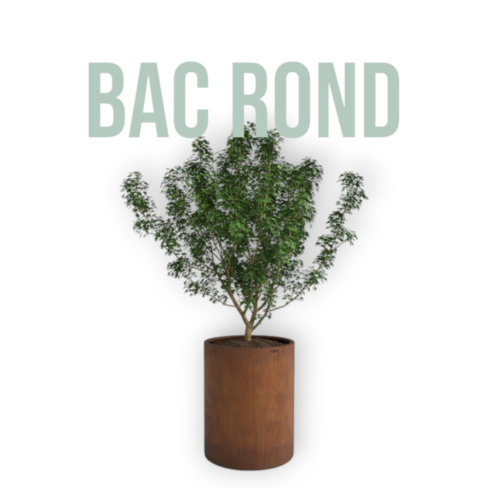 Bac rond